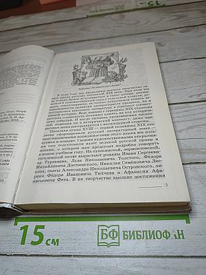 Литература. 10 класс. Часть 1