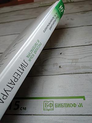 Литература. 10 класс. Часть 1