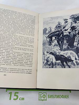 Д.Н. Мамин-Сибиряк. Собрание сочинений в десяти томах. Том 3. Горное гнездо. Уральские рассказы