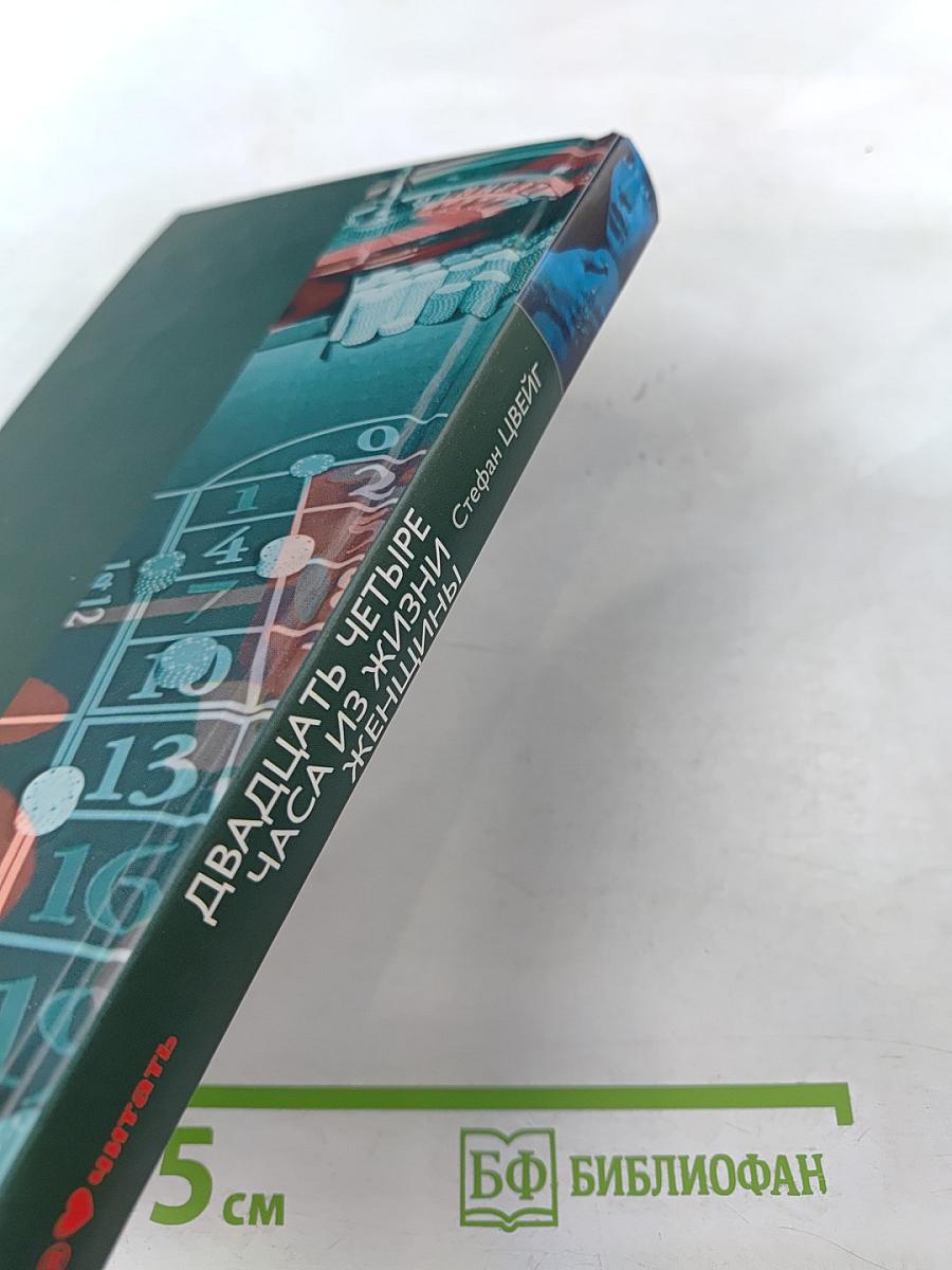 Двадцать четыре часа из жизни женщины