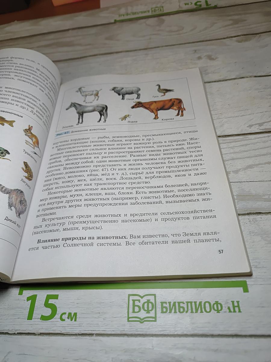 Биология 5 класс