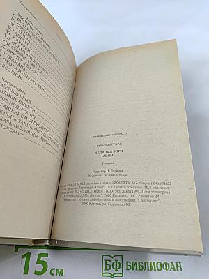 Ледяные боги. Аэша