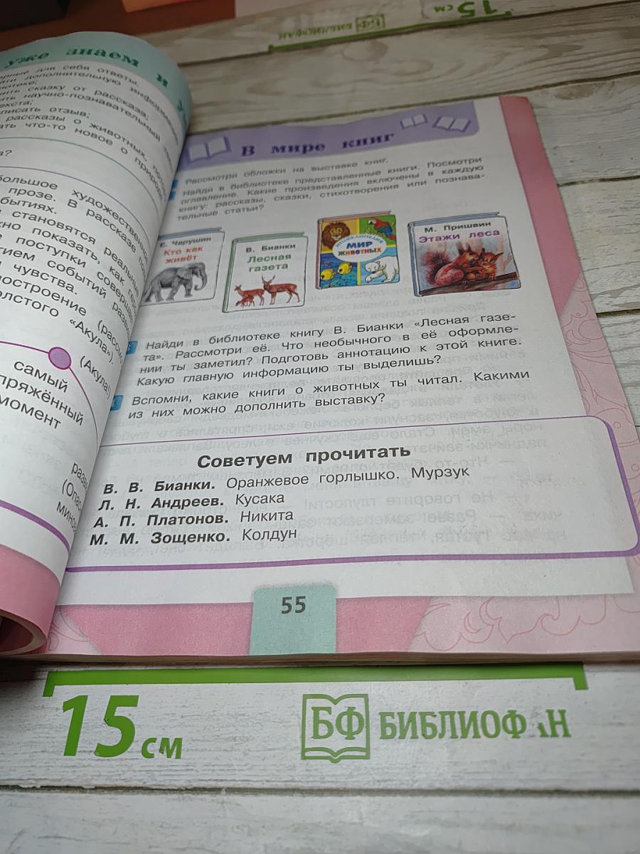 Литературное чтение. 3 класс. Часть 2