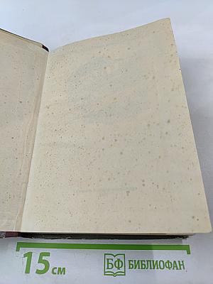 Женщина в море