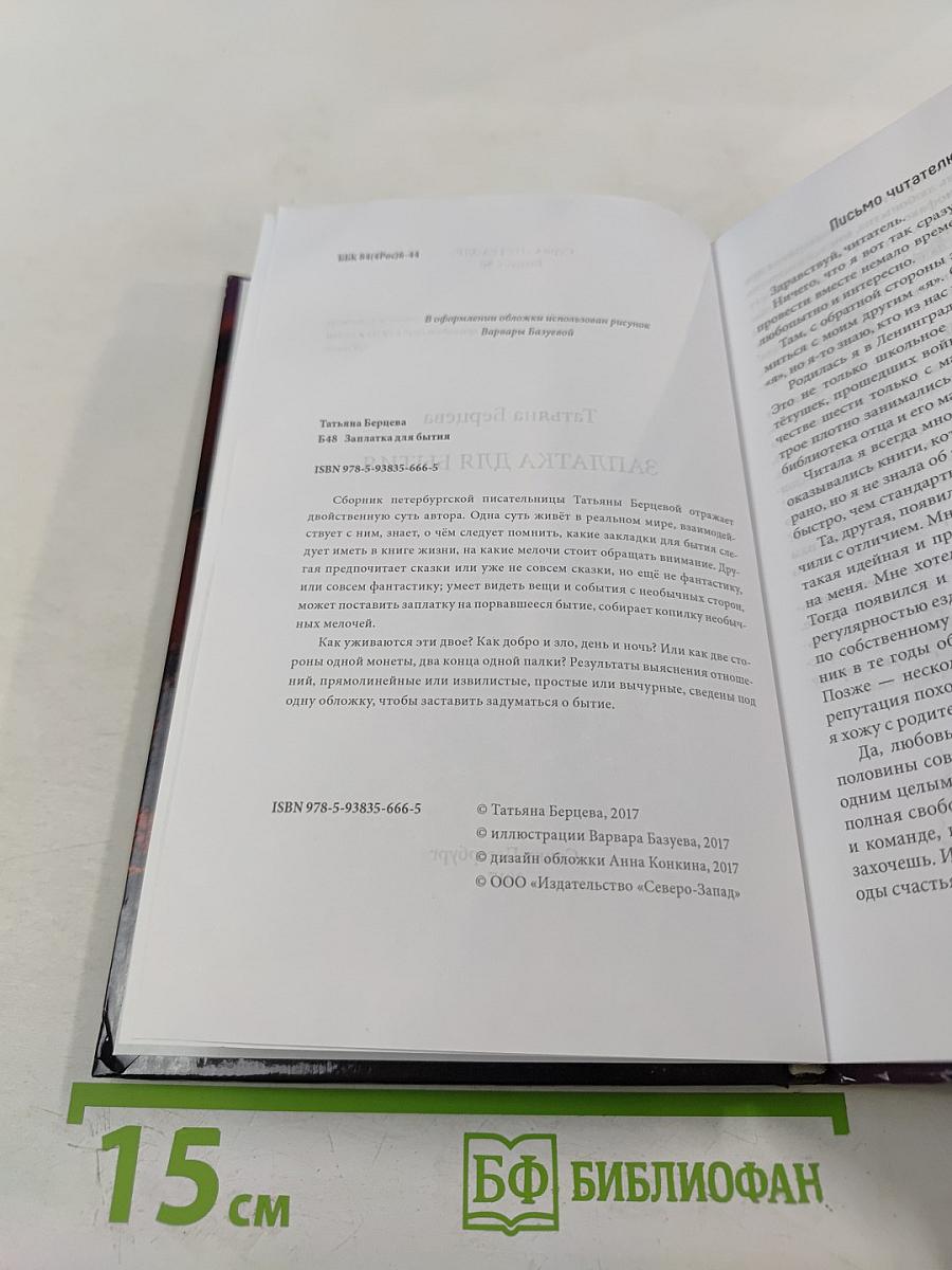 Заплатка для бытия