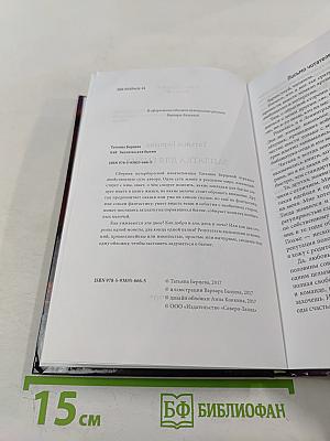 Заплатка для бытия