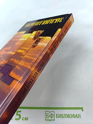 Заплатка для бытия