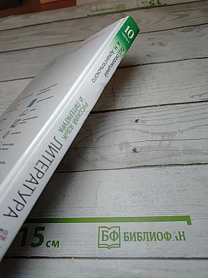 Русский язык и литература. Литература. 10 класс. Часть 2