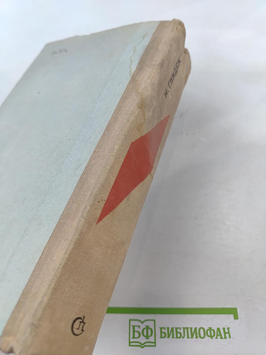 Прыжок в легенду. О чем звенели рельсы