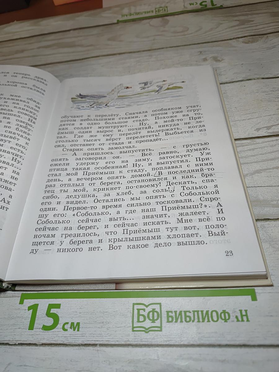 Литературное чтение. 3 класс. Часть вторая