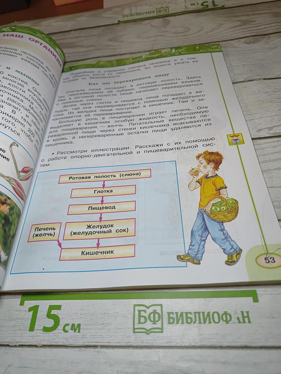 Окружающий мир 3 класс. Часть вторая