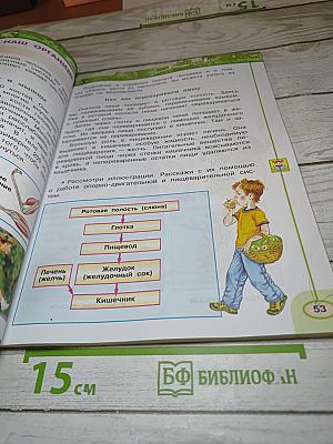 Окружающий мир 3 класс. Часть вторая