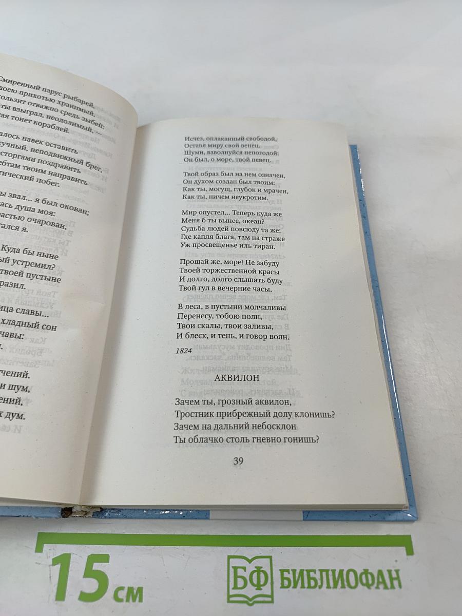 Странник: Антология русской поэзии