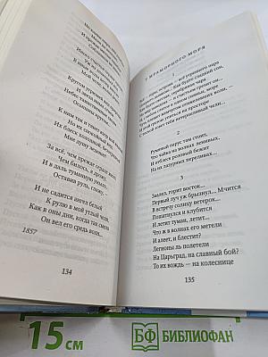Странник: Антология русской поэзии