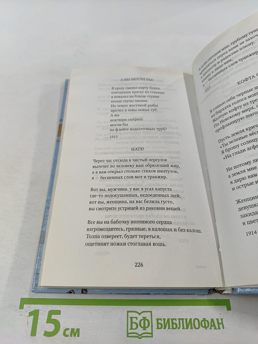 Странник: Антология русской поэзии