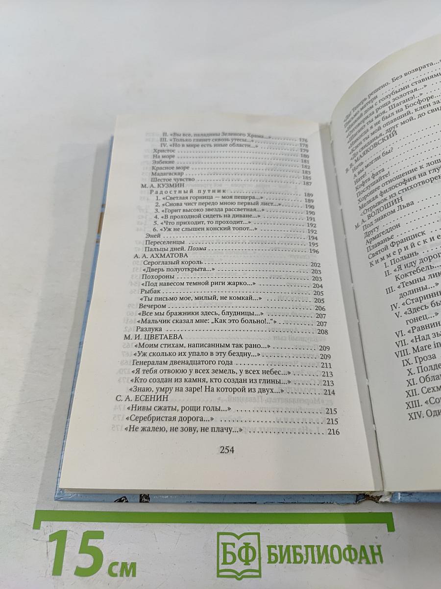 Странник: Антология русской поэзии