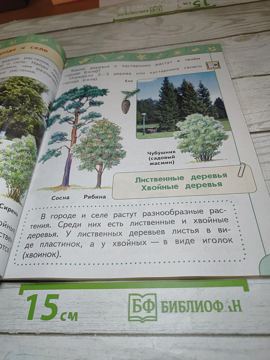 Окружающий мир 1 класс Часть 2