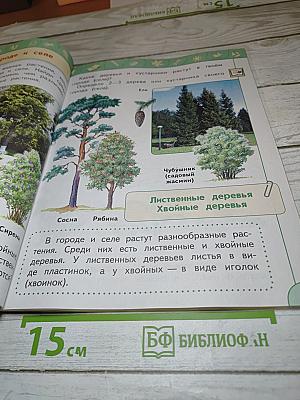 Окружающий мир 1 класс Часть 2