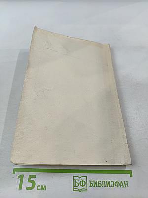 Мужчина в доме