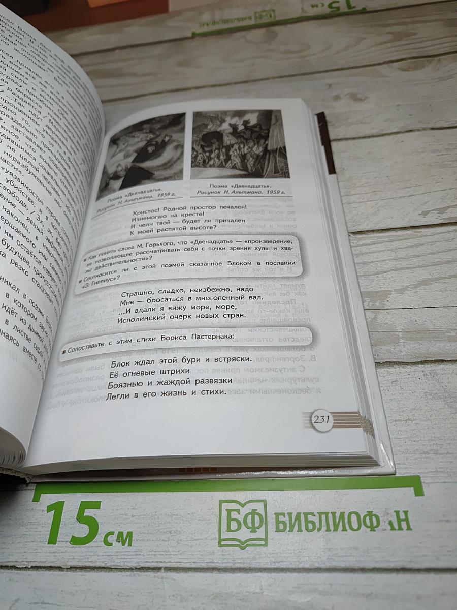 Литература. 11 класс. Базовый уровень. Часть 1