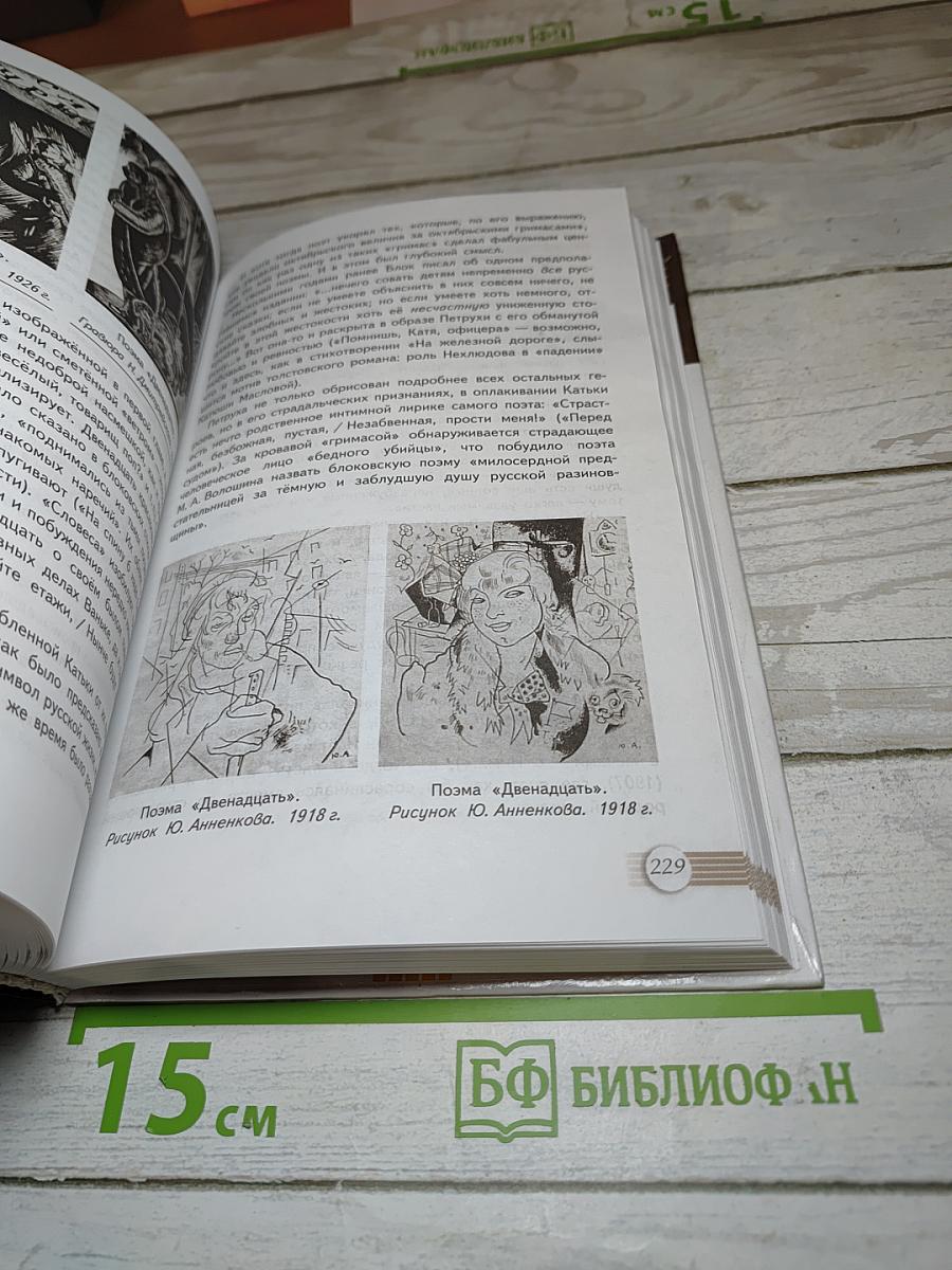 Литература. 11 класс. Базовый уровень. Часть 1