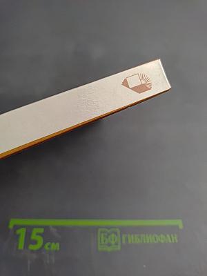 Глеб Успенский в Петербурге