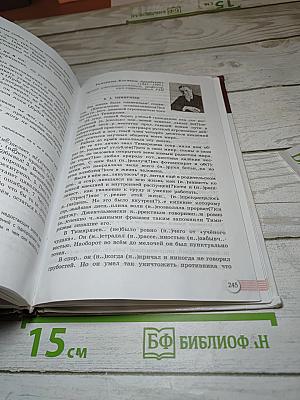Русский язык 10-11 классы Базовый уровень