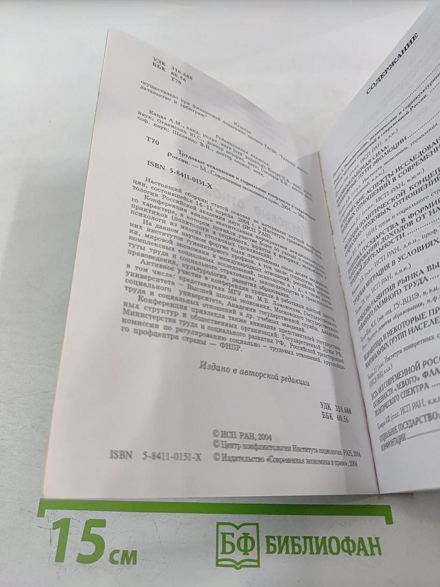 Трудовые отношения и социальные конфликты в современной России