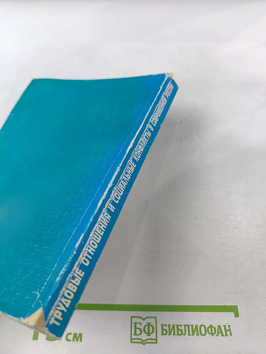 Трудовые отношения и социальные конфликты в современной России