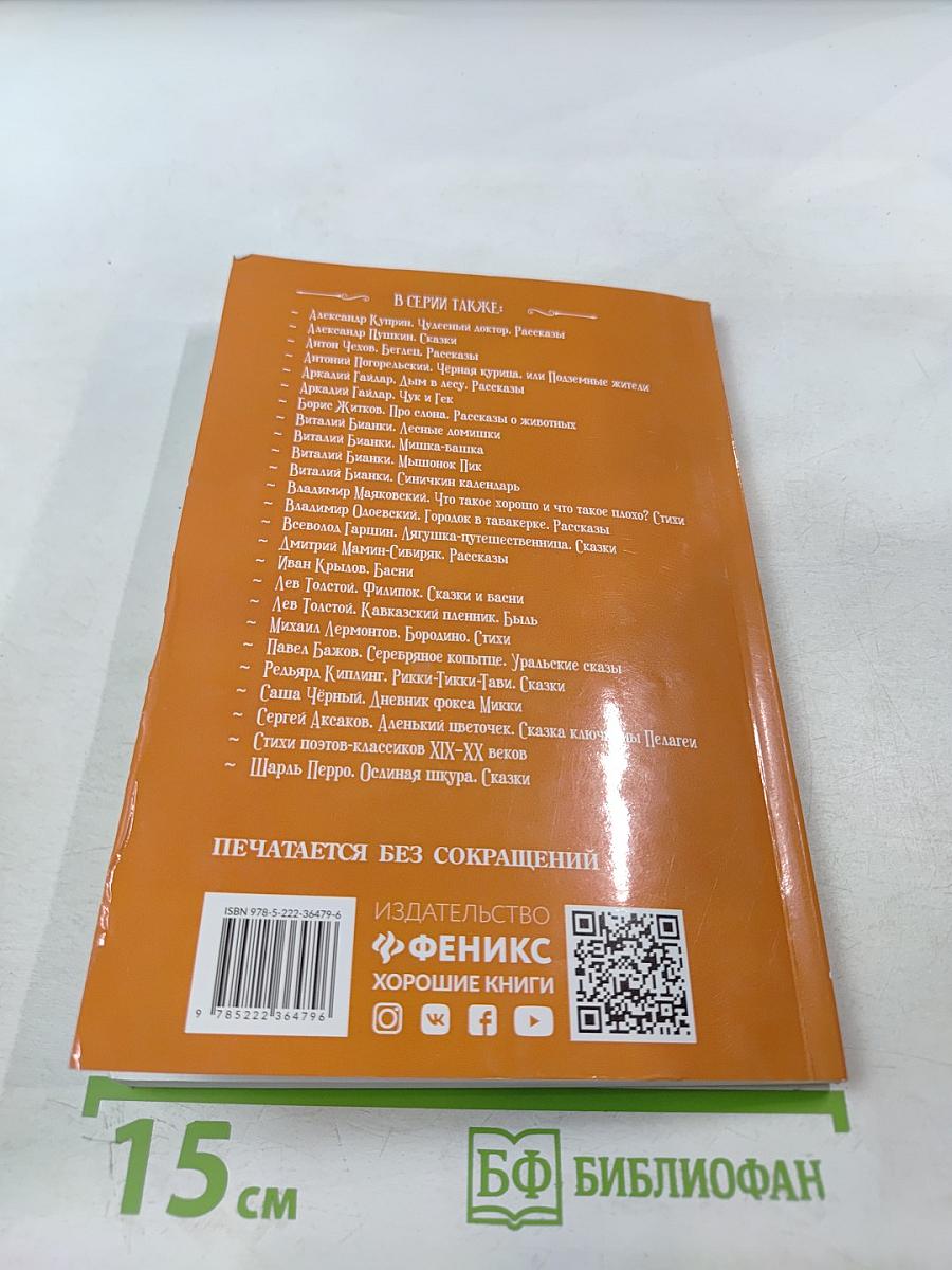 Золотой ключик, или Приключения Буратино. Начальная школа