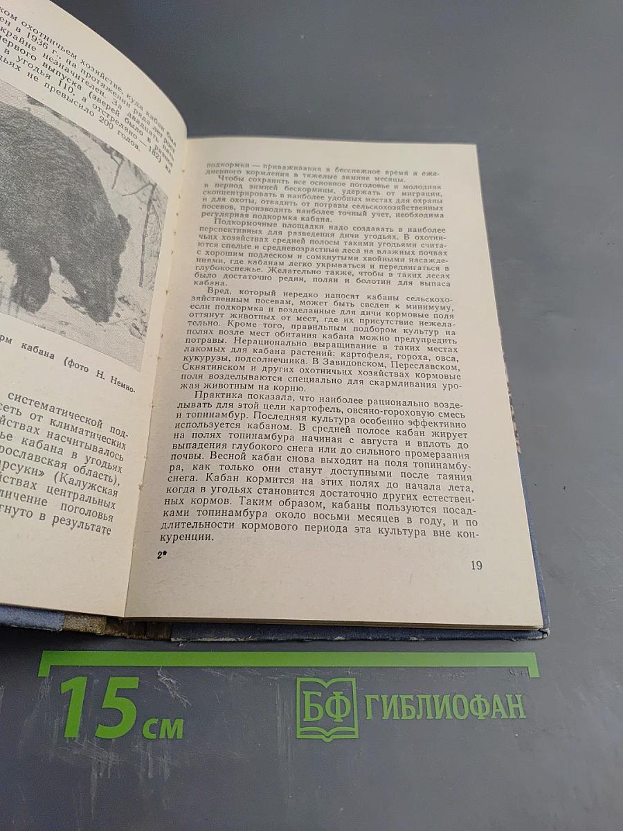 Охотнику о дичи