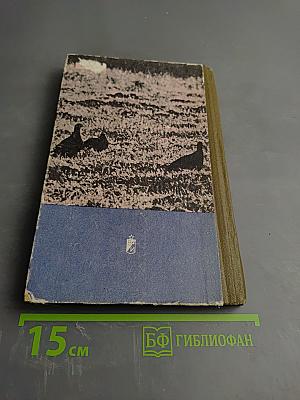 Охотнику о дичи