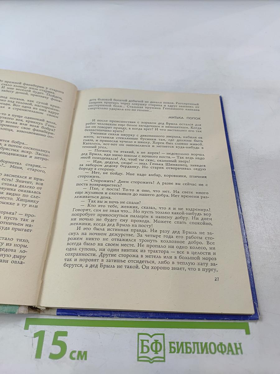 Магистральный канал