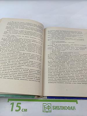 Магистральный канал