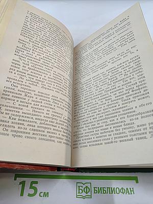 Улей Твердая Рука