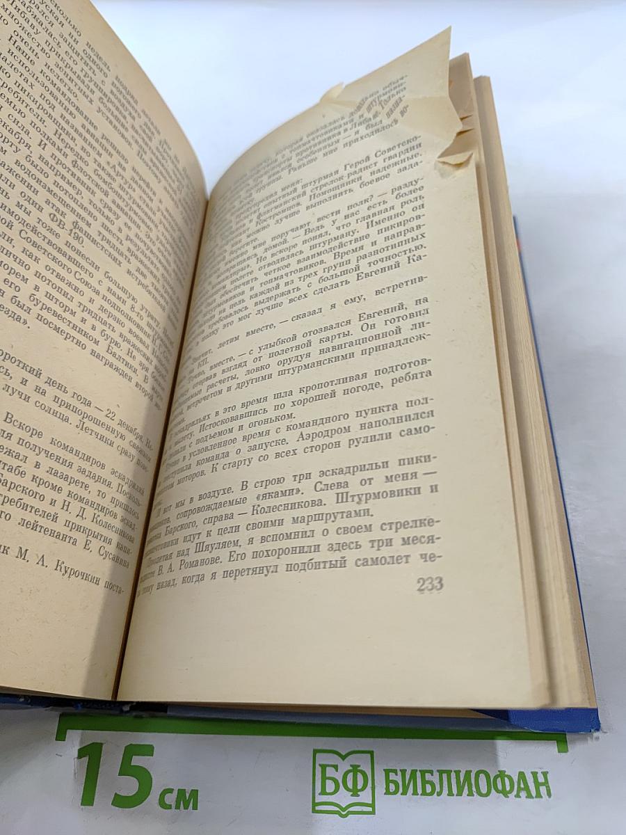 В небе Балтики