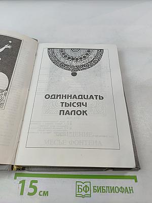 Одиннадцать тысяч палок