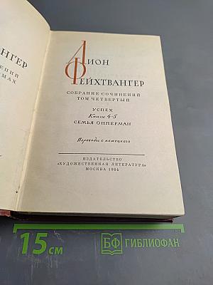 Собрание сочинений. Том 4: Успех. Семья Опперман