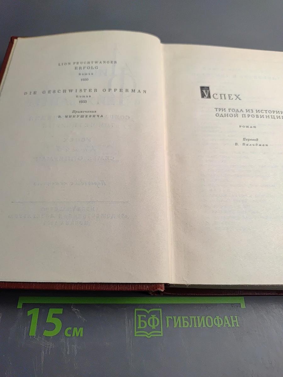 Собрание сочинений. Том 4: Успех. Семья Опперман