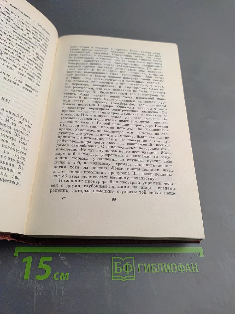 Собрание сочинений. Том 4: Успех. Семья Опперман