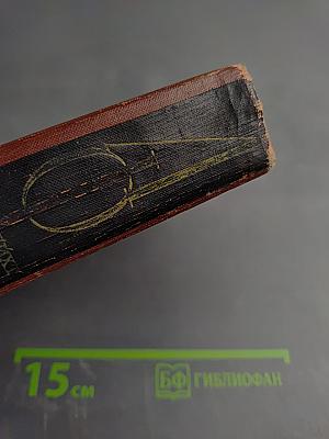 Собрание сочинений. Том 4: Успех. Семья Опперман