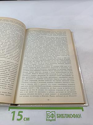 Временщики и фаворитки. XVI, XVII и XVIII столетий. Книга 1