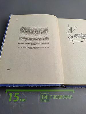 На все цвета радуги