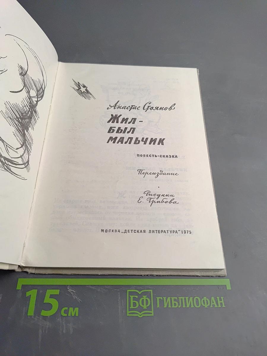 Жил-был мальчик