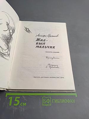 Жил-был мальчик