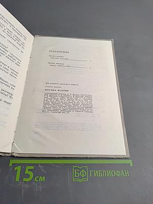 Жил-был мальчик