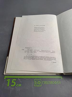 Жил-был мальчик