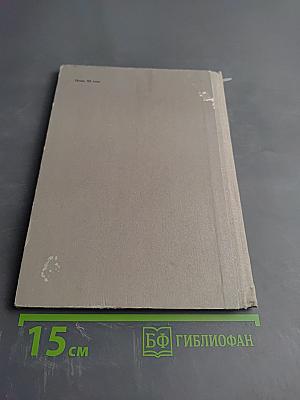 Жил-был мальчик