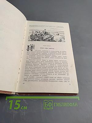 Здравствуй, товарищ!