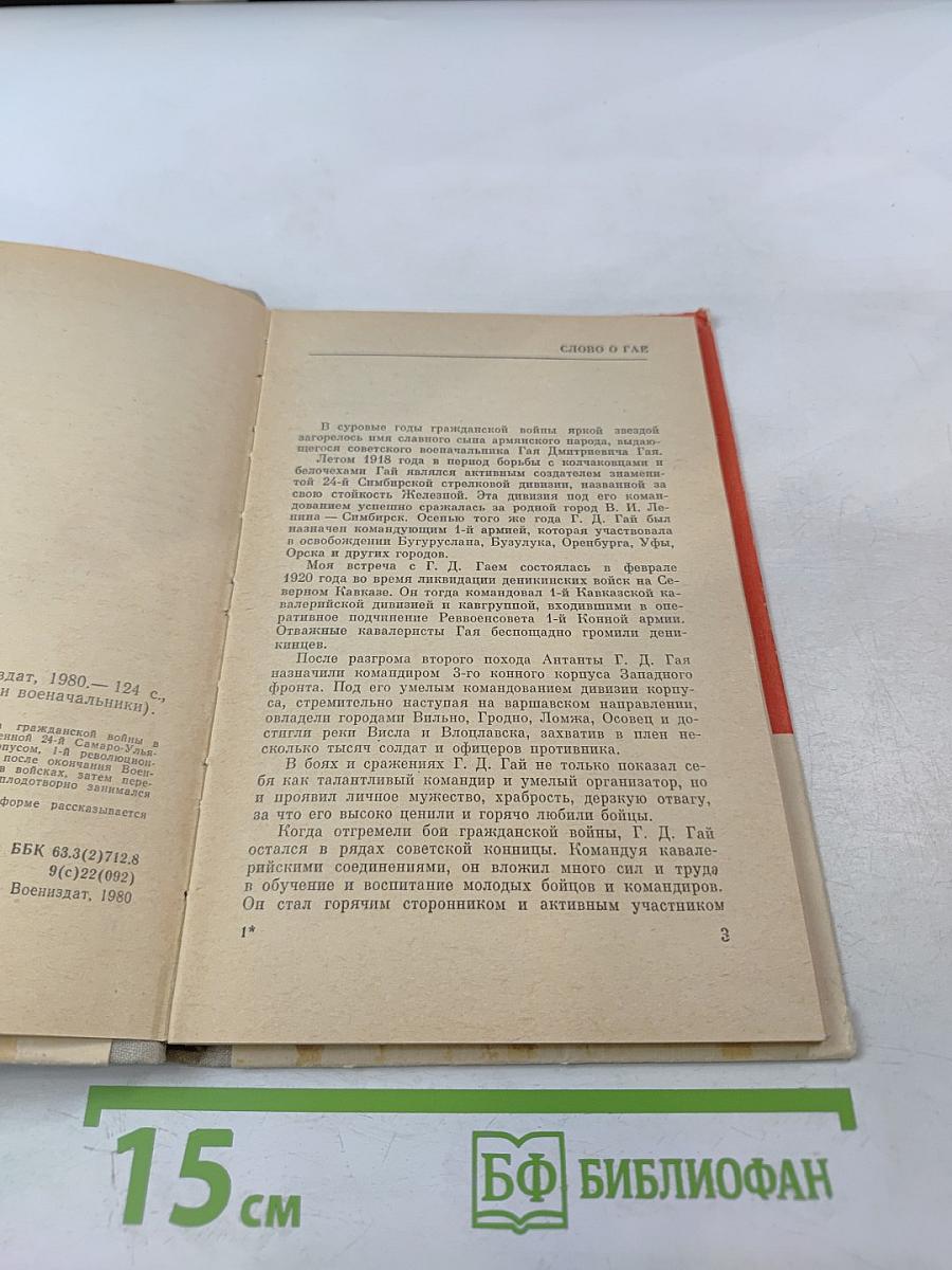 Железный Гай